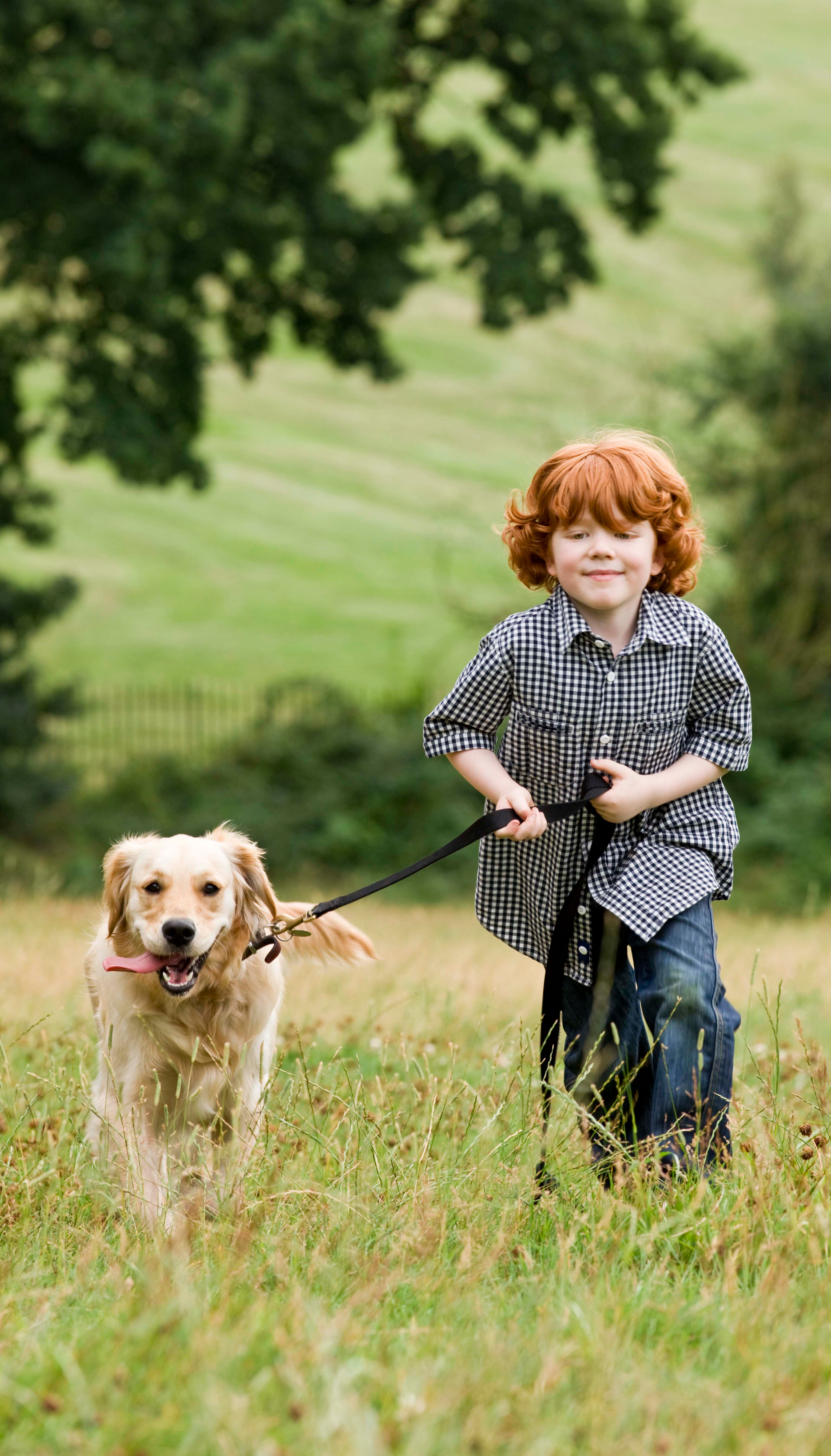 Importance d’un chien enfant 1