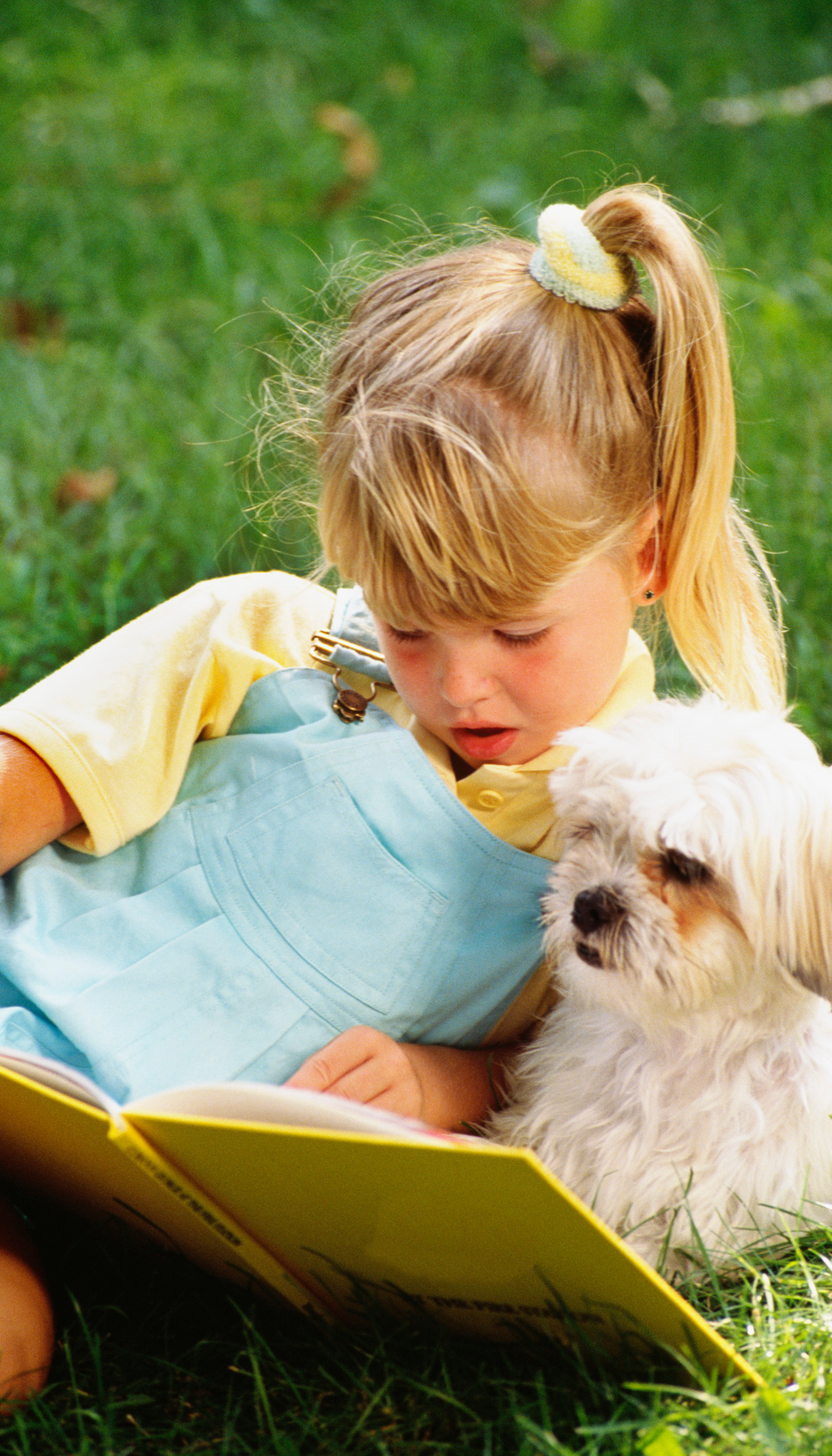 Importance d’un chien enfant 4