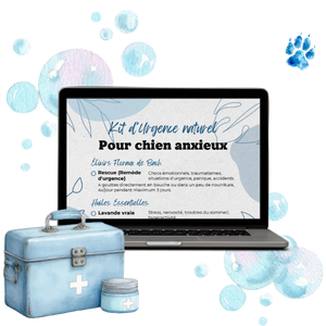 kit vacances zen – chien anxieux – mockup bonus kit de secours