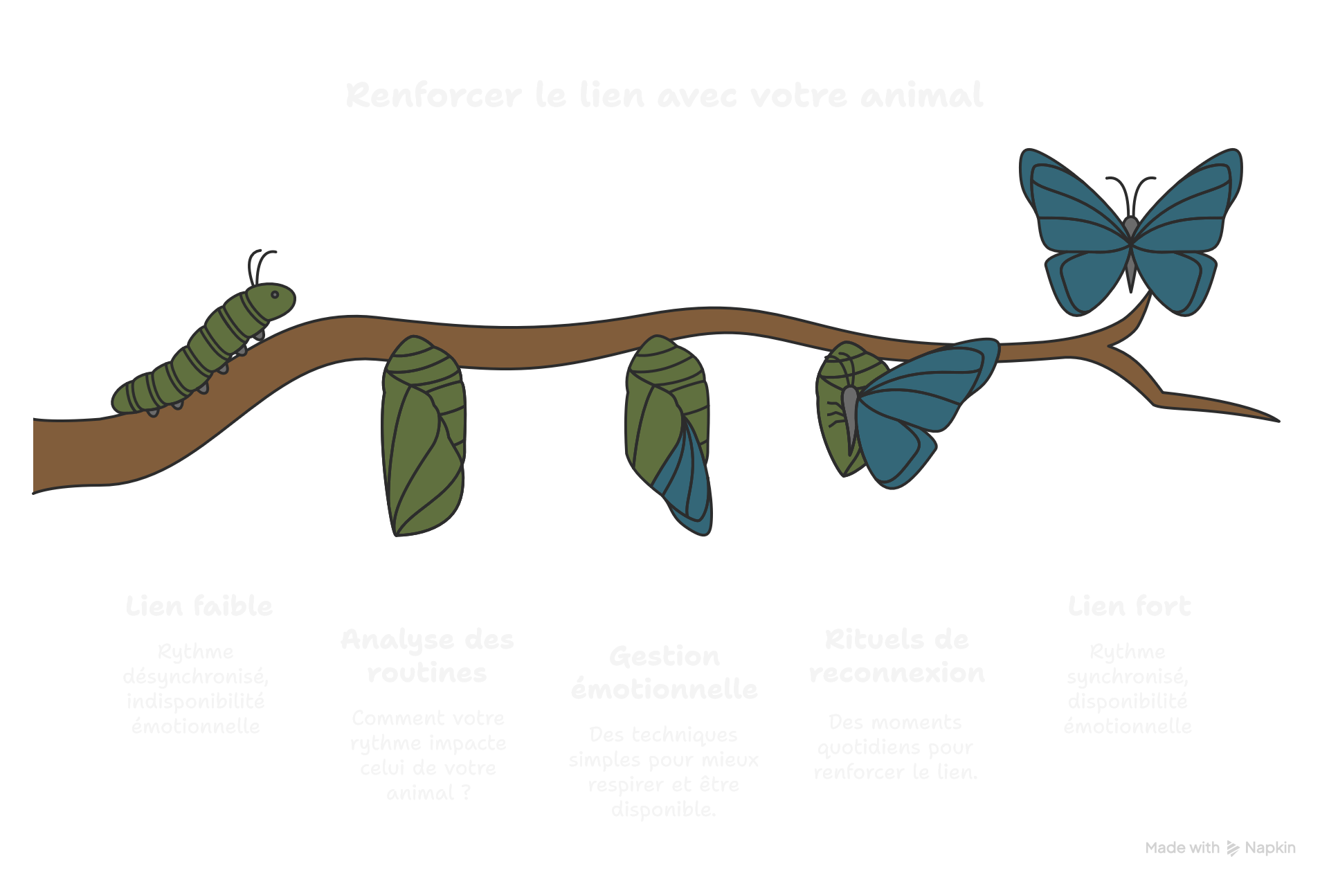 Renforcer le lien avec votre animal – naturopathie
