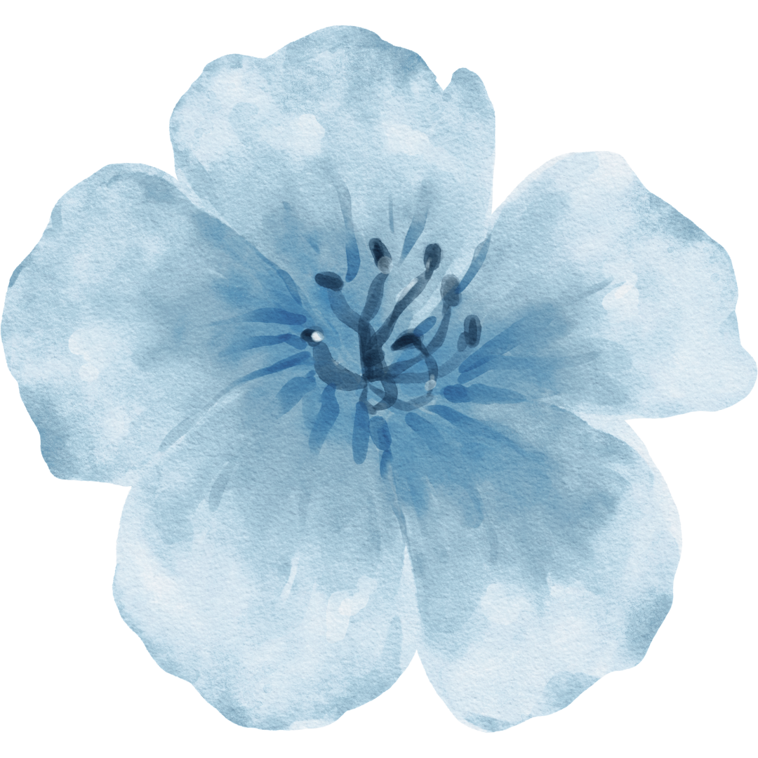 image fleur pour protocole fleurs de bach image fleur pour protocole fleurs de bach pour naturopathie animale