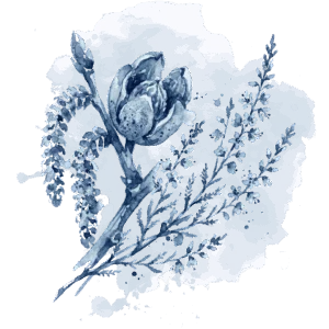 image article - Pourquoi mon chat miaule - fleurs de bach