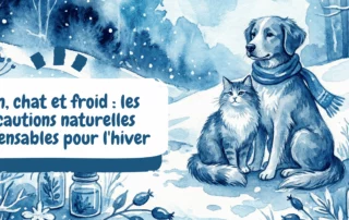 image bannière article blog - miniature - Chien chat et froid les précautions naturelles indispensables pour lhiver