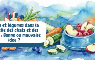 image bannière article blog - miniature - fruits et légumes gamelle chat et chien
