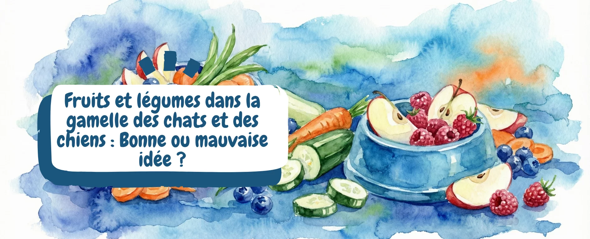 image bannière article blog - miniature - fruits et légumes gamelle chat et chien