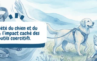 image bannière blog - anxiété chien chat - impact outils coercitifs