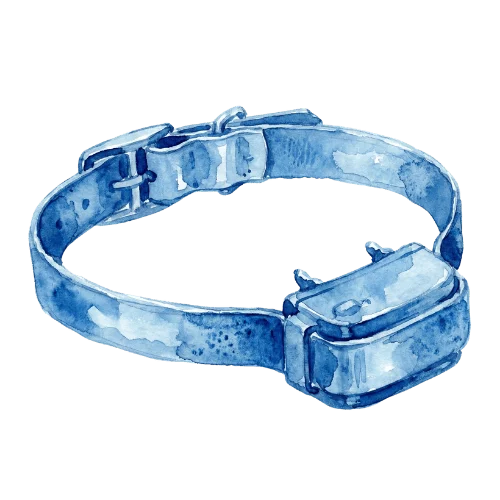 image blog – anxiété chien chat et outils coercitifs – collier électrique image blog - anxiété chien chat et outils coercitifs - collier électrique