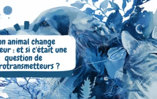 Mon animal change d'humeur et si c'était une question de neurotransmetteurs