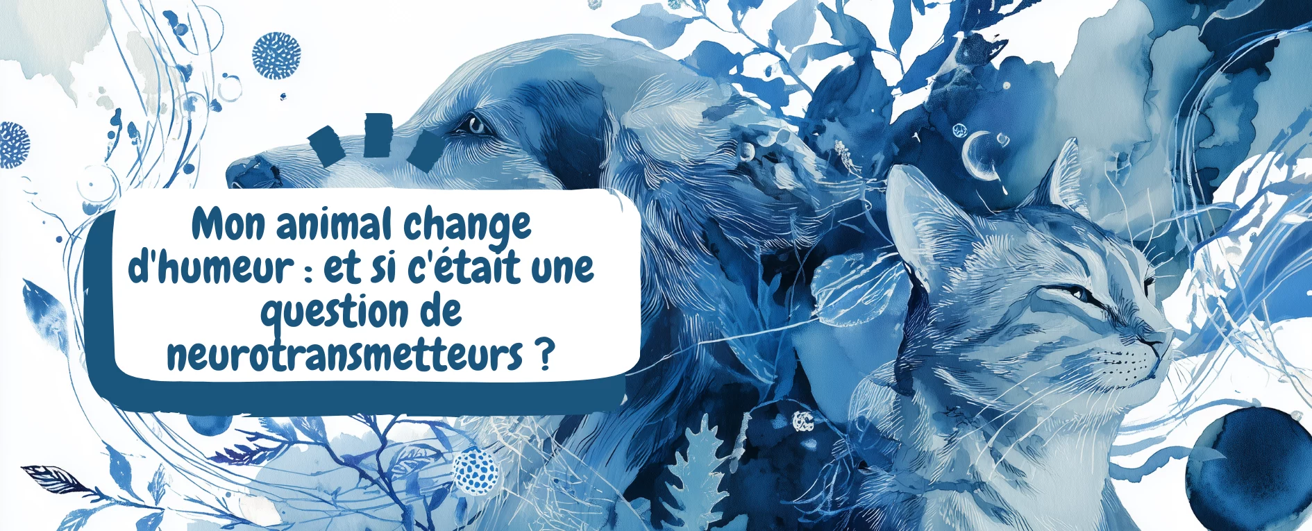 Mon animal change d'humeur et si c'était une question de neurotransmetteurs