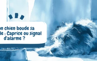 bannière article blog - pourquoi mon chien boude sa gamelle