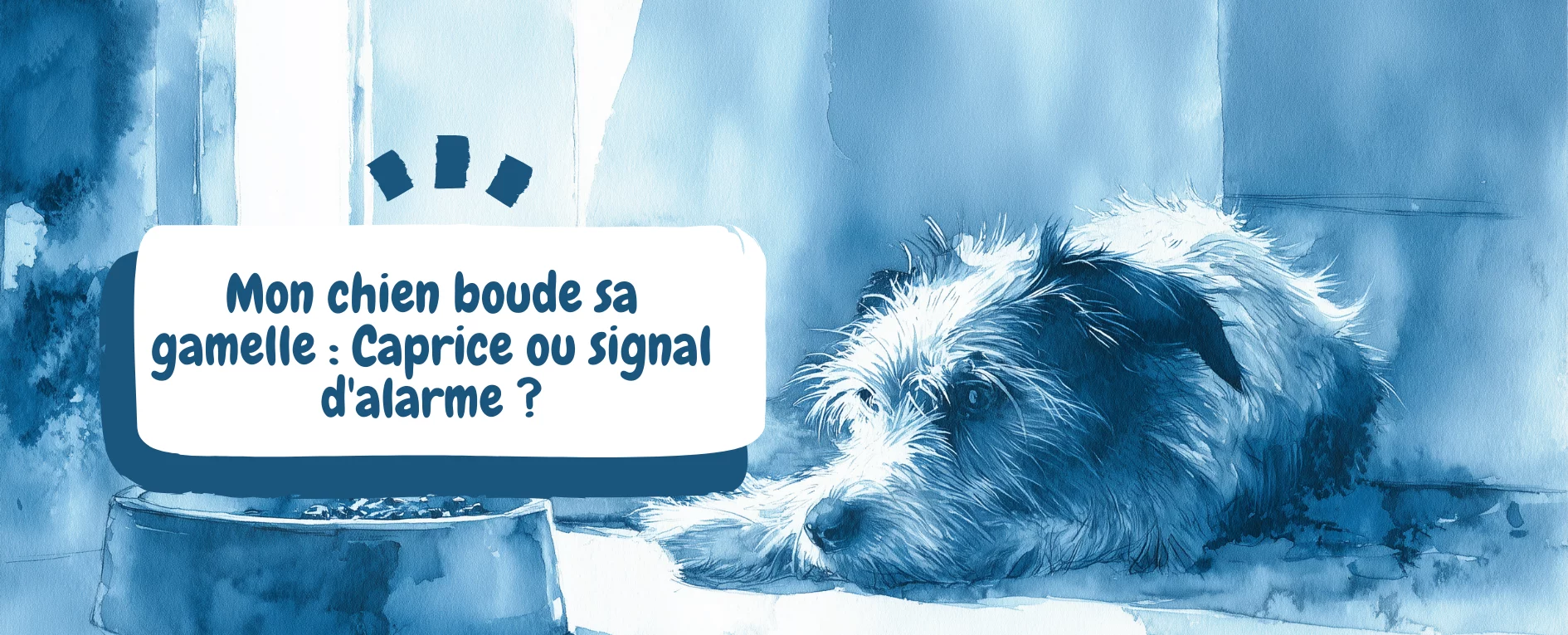 bannière article blog - pourquoi mon chien boude sa gamelle