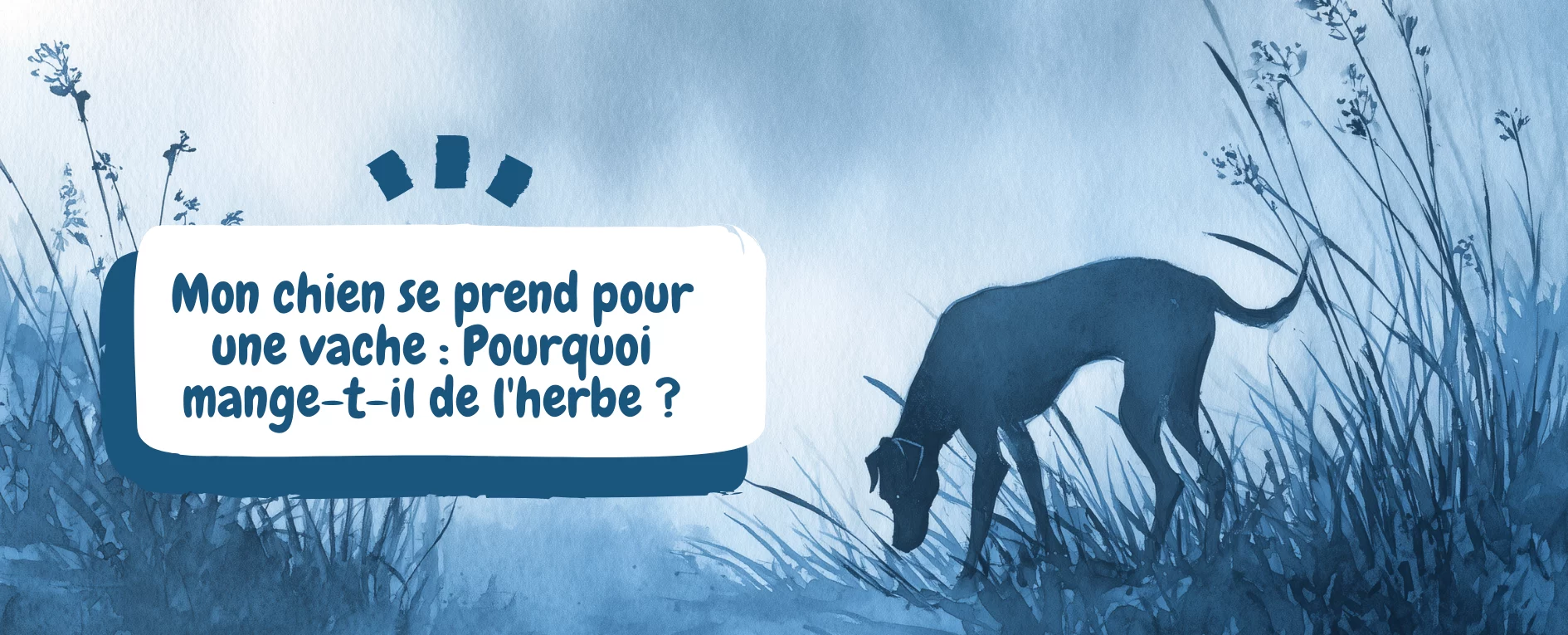 bannière pourquoi mon chien mange-t-il de l'herbe