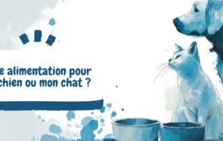 image une naturopathie animale - quelle alimentation pour mon chien ou mon chat