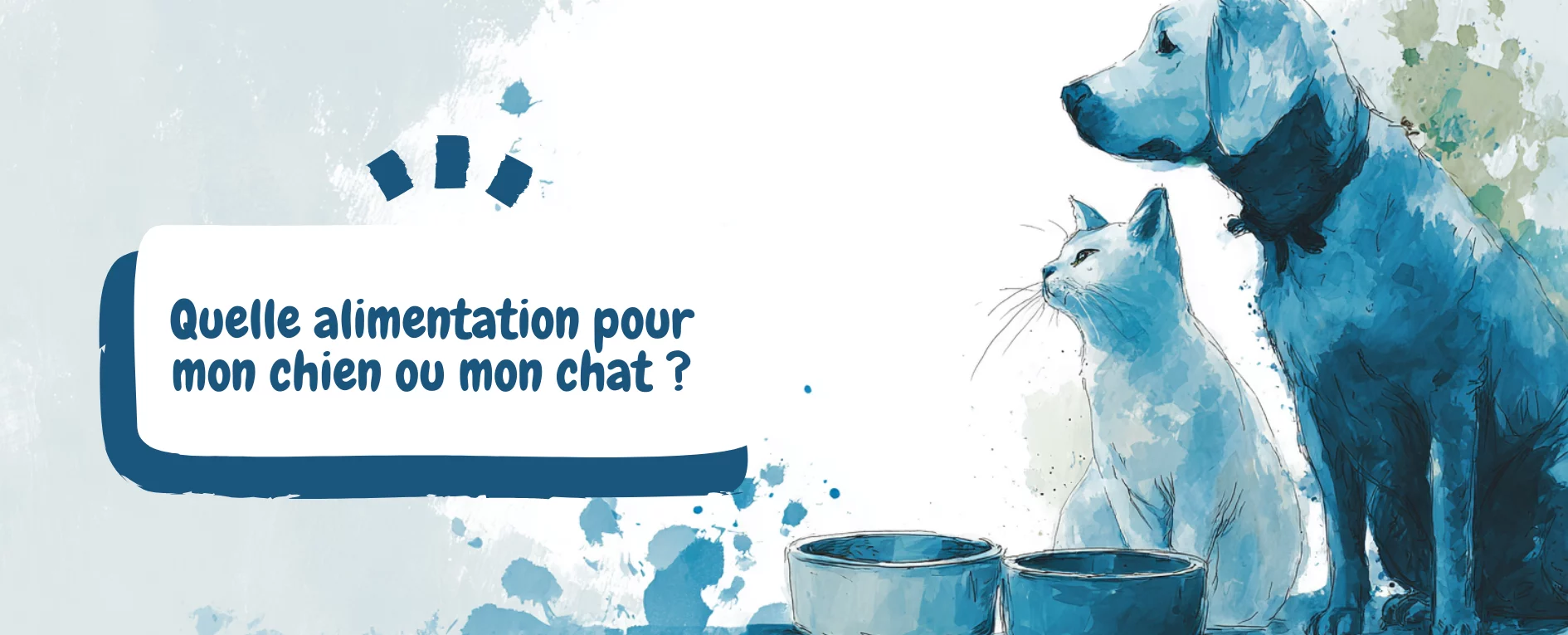 image une naturopathie animale - quelle alimentation pour mon chien ou mon chat