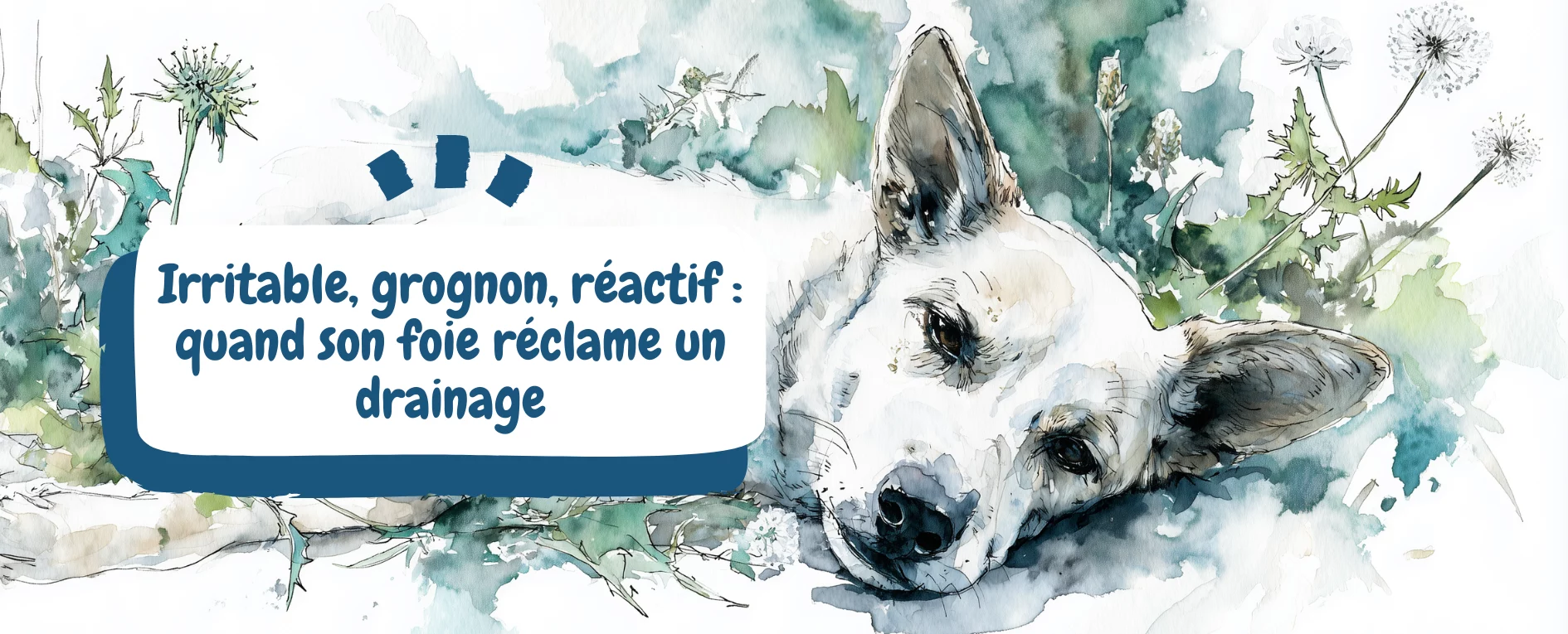 Irritable, grognon, réactif - quand son foie réclame un drainage