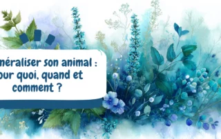 Reminéraliser son animal pour quoi, quand et comment