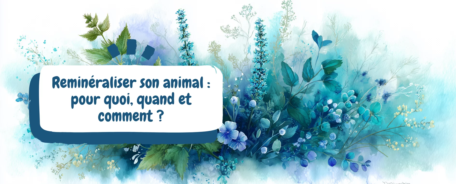 Reminéraliser son animal pour quoi, quand et comment