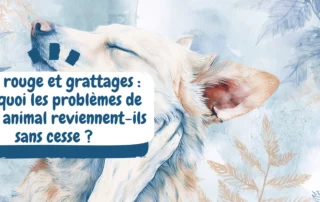 image une naturopathie animale article blog sk naturopathe animalier (2)