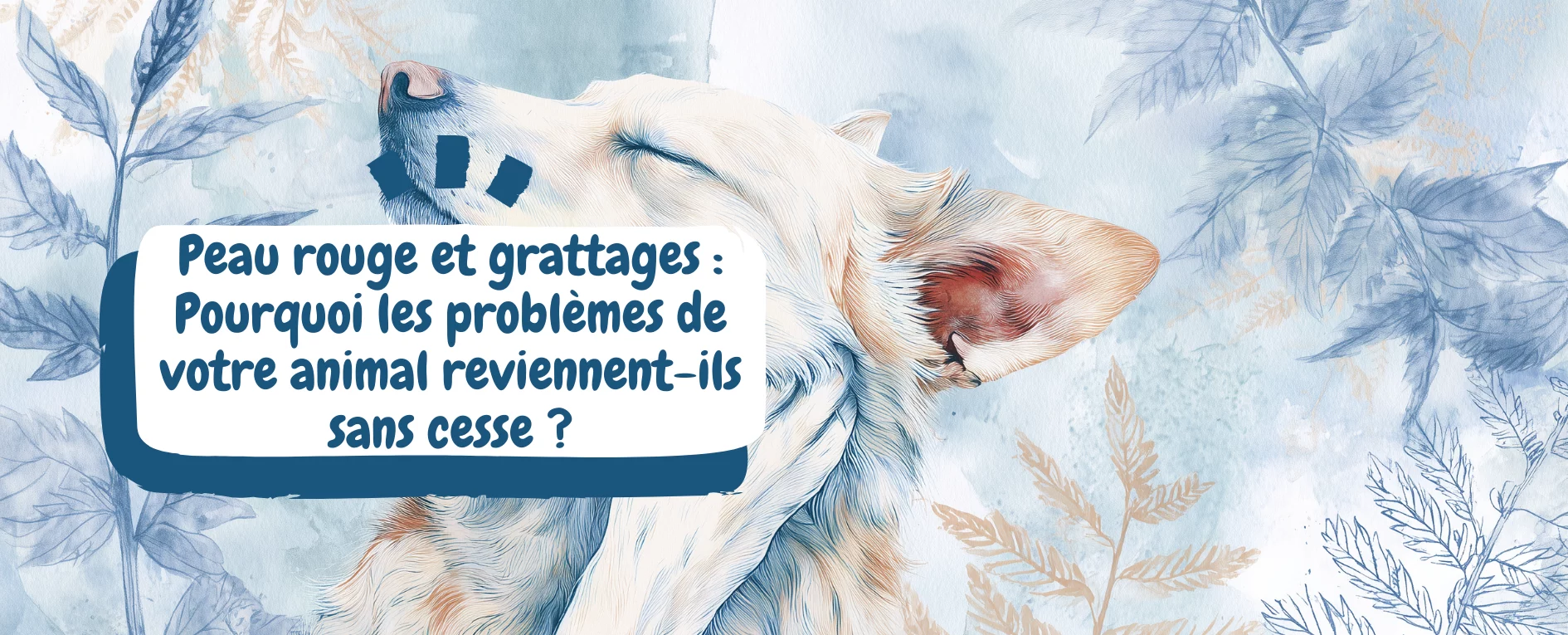 image une naturopathie animale article blog sk naturopathe animalier (2)