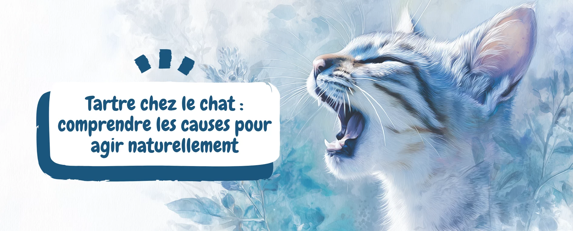 Tartre chez le chat comprendre les causes pour agir naturellement