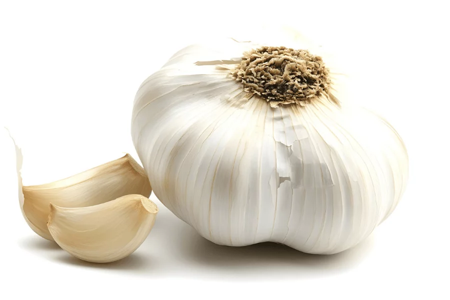 Tiques 5 compléments naturels pour rendre votre animal moins attractif - ail