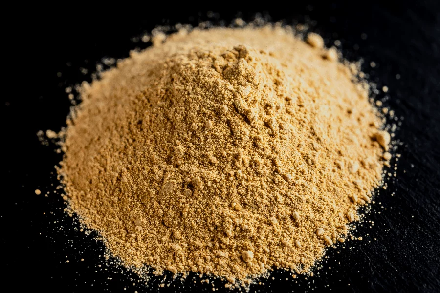 Tiques 5 compléments naturels pour rendre votre animal moins attractif - levure de bière