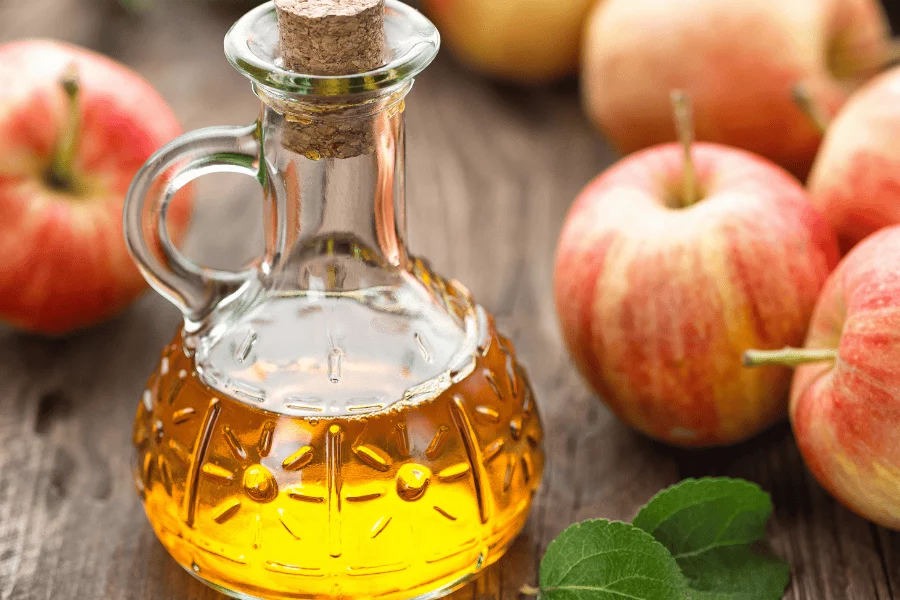 Tiques 5 compléments naturels pour rendre votre animal moins attractif - vinaigre de cidre