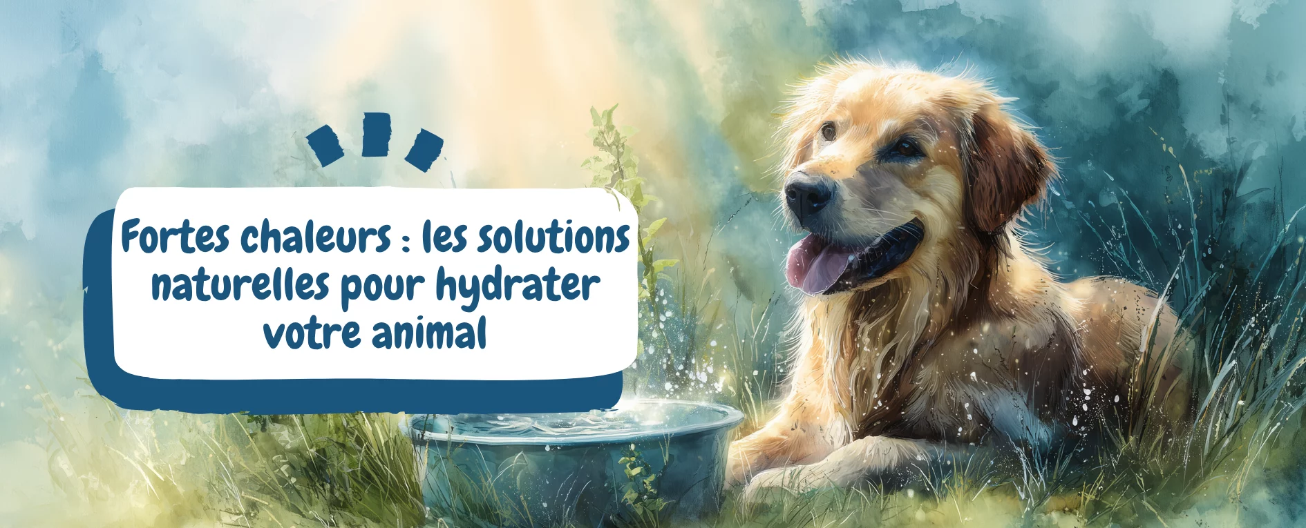 Fortes chaleurs les solutions naturelles pour hydrater votre animal - bannière golden et gamelle d'eau