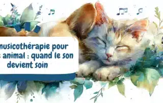 La musicothérapie pour votre animal quand le son devient soin - bannière
