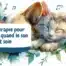 La musicothérapie pour votre animal quand le son devient soin - bannière