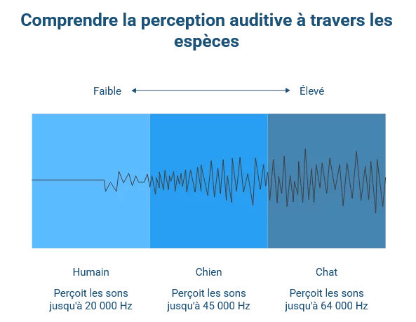 La musicothérapie pour votre animal quand le son devient soin – comprendre la perception auditive à travers les espèces La musicothérapie pour votre animal quand le son devient soin - comprendre la perception auditive à travers les espèces