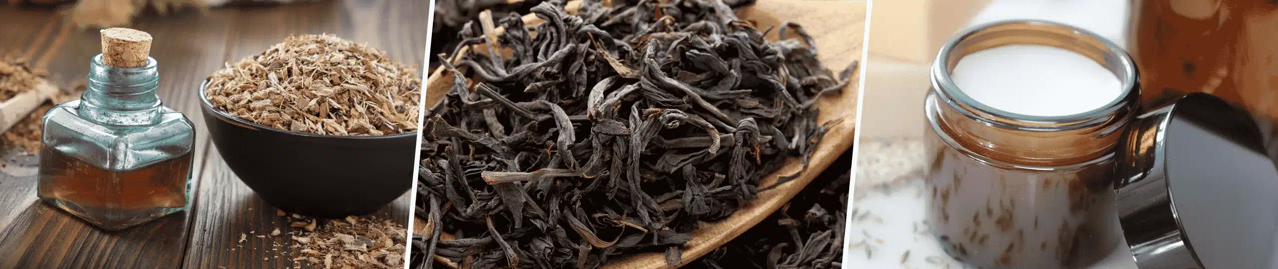 Votre chien boite à cause de ses coussinets Voici par où commencer – écorce de chêne thé noir baume coussinet Votre chien boite à cause de ses coussinets Voici par où commencer - écorce de chêne thé noir baume coussinet