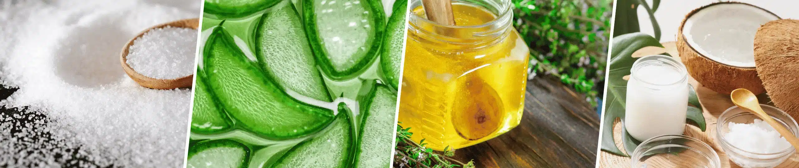 Votre chien boite à cause de ses coussinets Voici par où commencer – sel epsom aloe vera miel de thym huile de coco Votre chien boite à cause de ses coussinets Voici par où commencer - sel epsom aloe vera miel de thym huile de coco