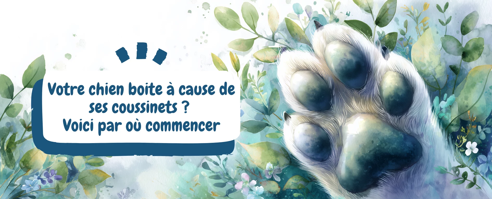 Votre chien boite à cause de ses coussinets Voici par où commencer