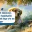 Chien, chat et canicule Pourquoi vos habitudes estivales mettent leur vie en danger - bannière article de blog golden et chat