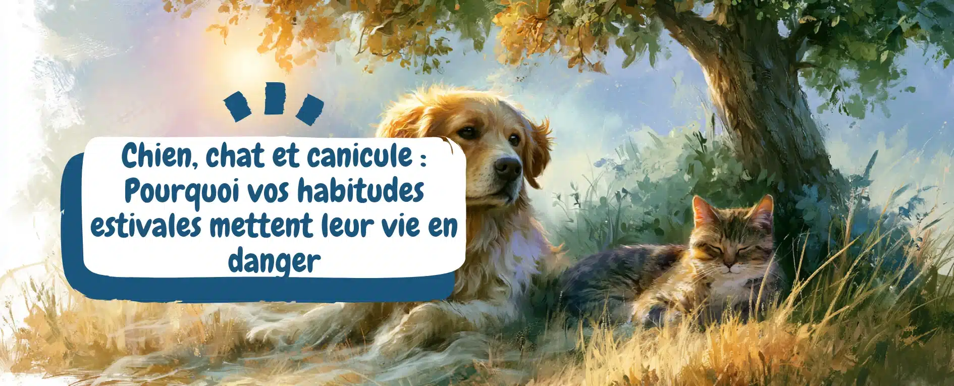Chien, chat et canicule Pourquoi vos habitudes estivales mettent leur vie en danger - bannière article de blog golden et chat