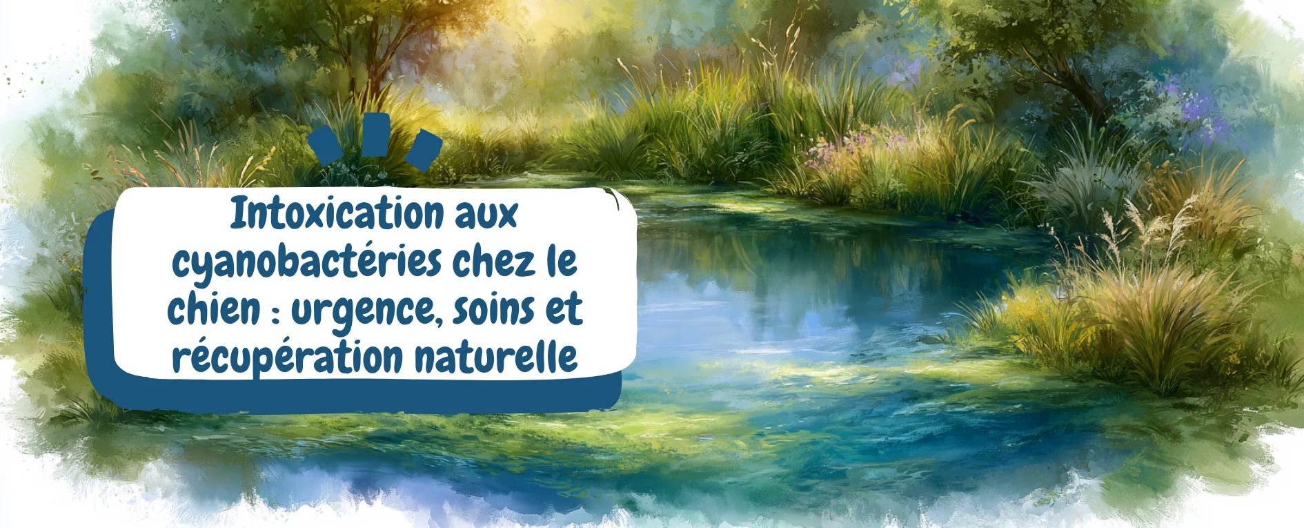 Intoxication aux cyanobactéries chez le chien urgence, soins et récupération naturelle - bannière article eau stagnante