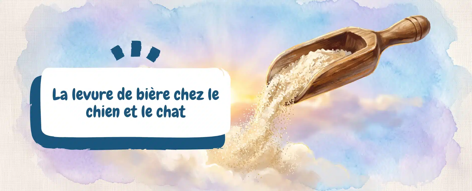 La levure de bière chez le chien et le chat - bannière article