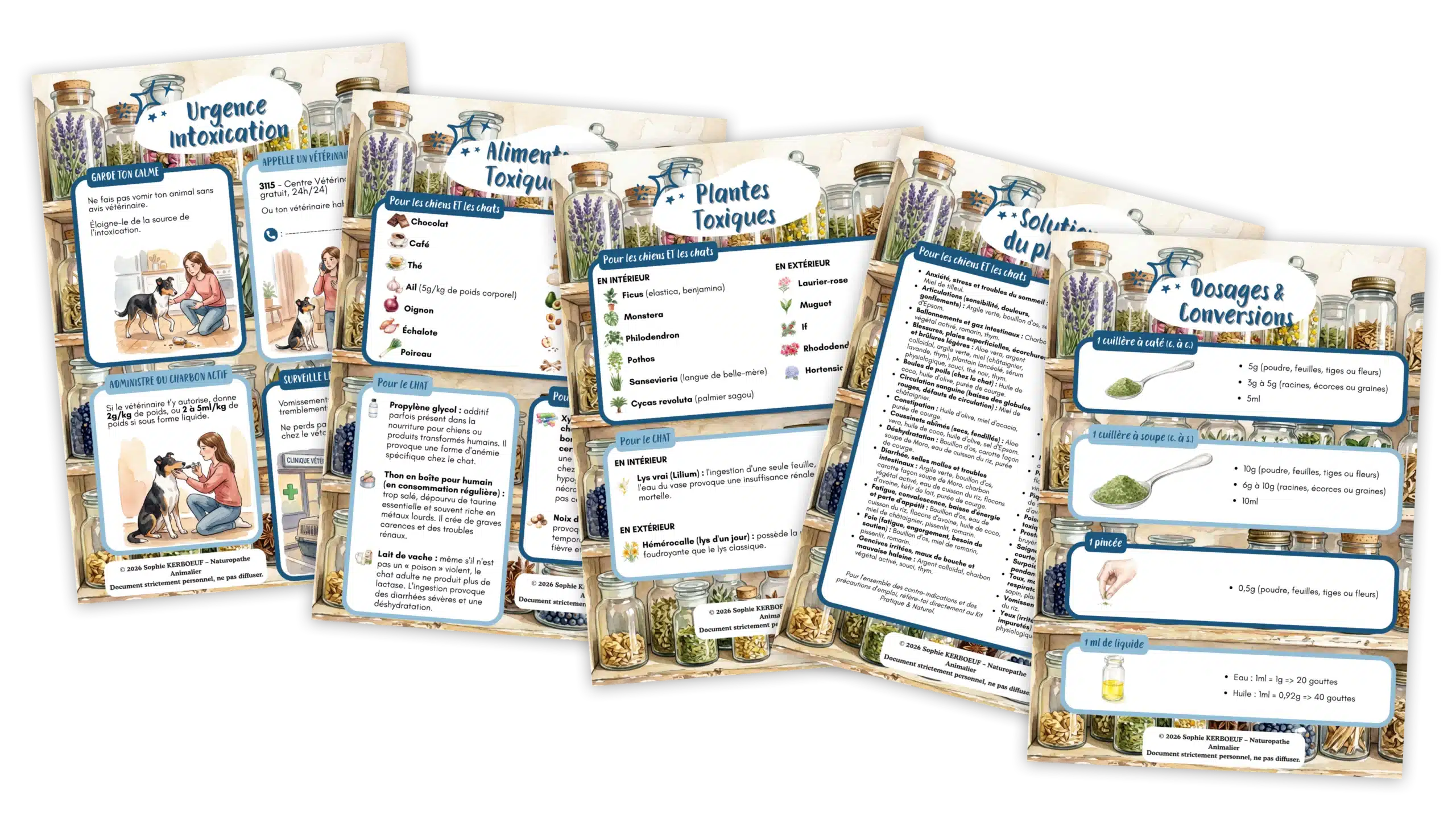 Image kit pratique & naturel – article de blog – bonus Image kit pratique & naturel - article de blog - bonus