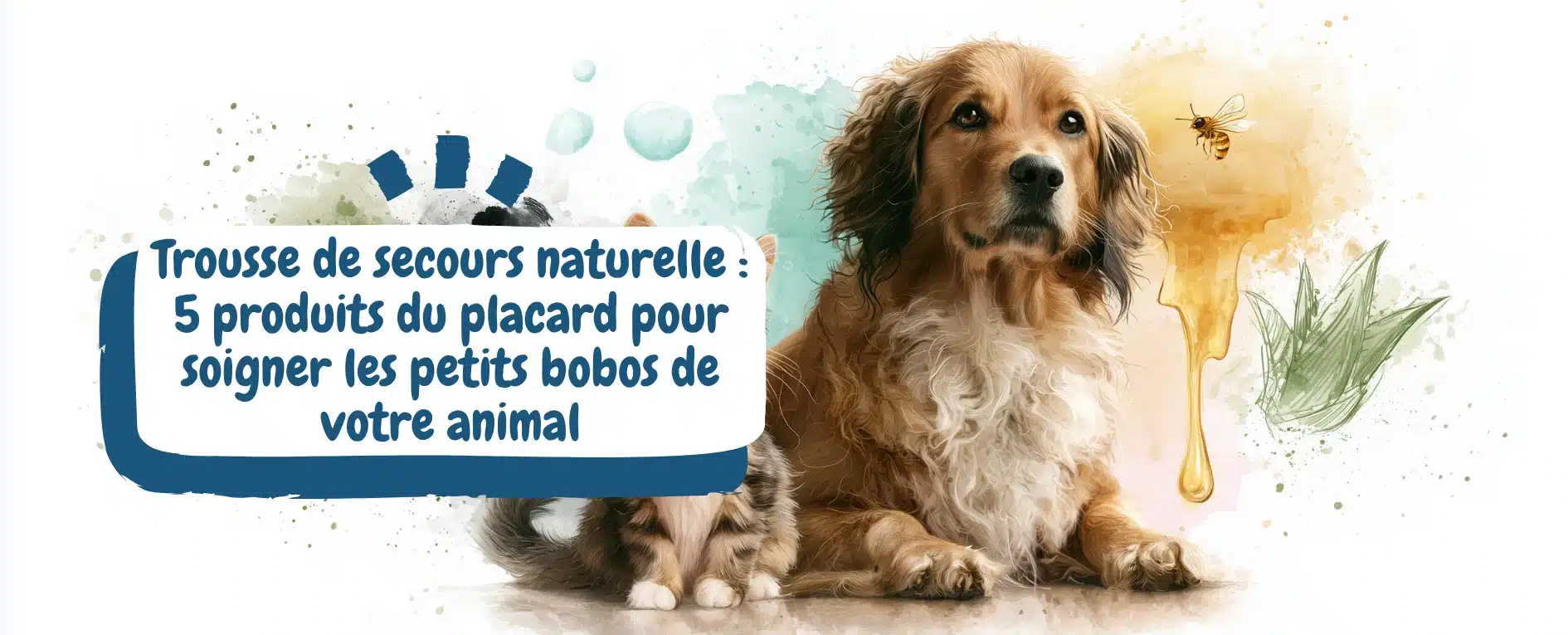 Trousse de secours naturelle 5 produits du placard pour soigner les petits bobos de votre animal - bannière article