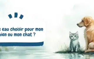 eau-chien-chat-naturopathie - naturopathie animale