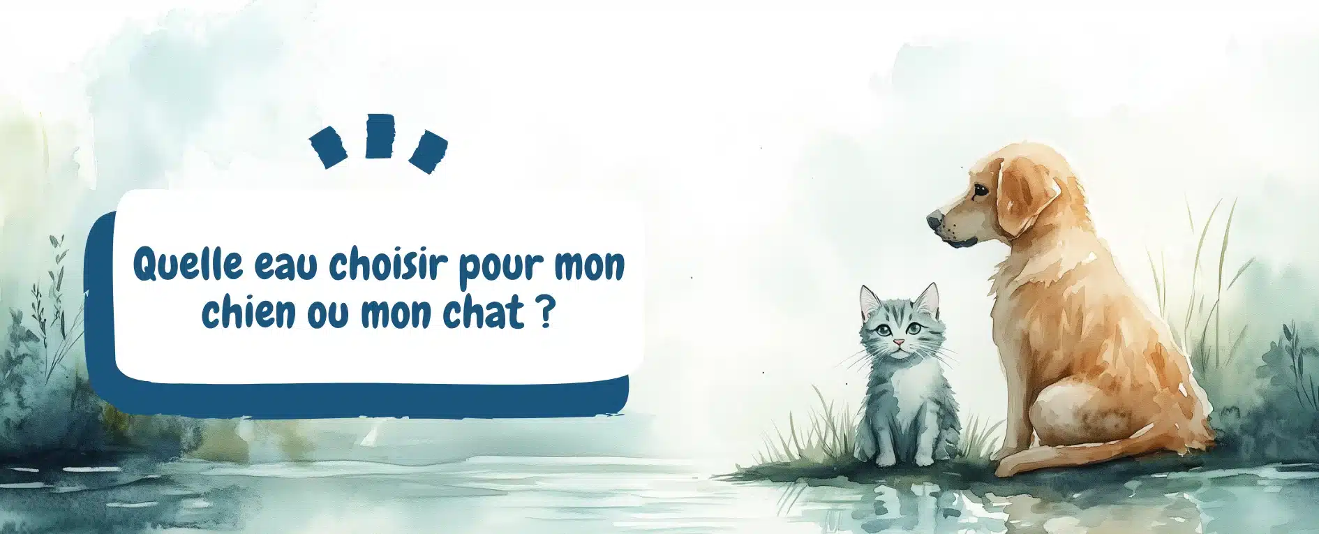 eau-chien-chat-naturopathie - naturopathie animale