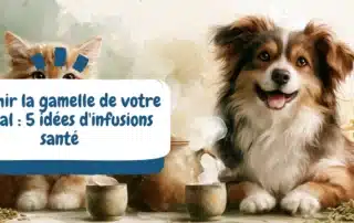 Enrichir la gamelle de votre animal 5 idées d'infusions santé - bannière article