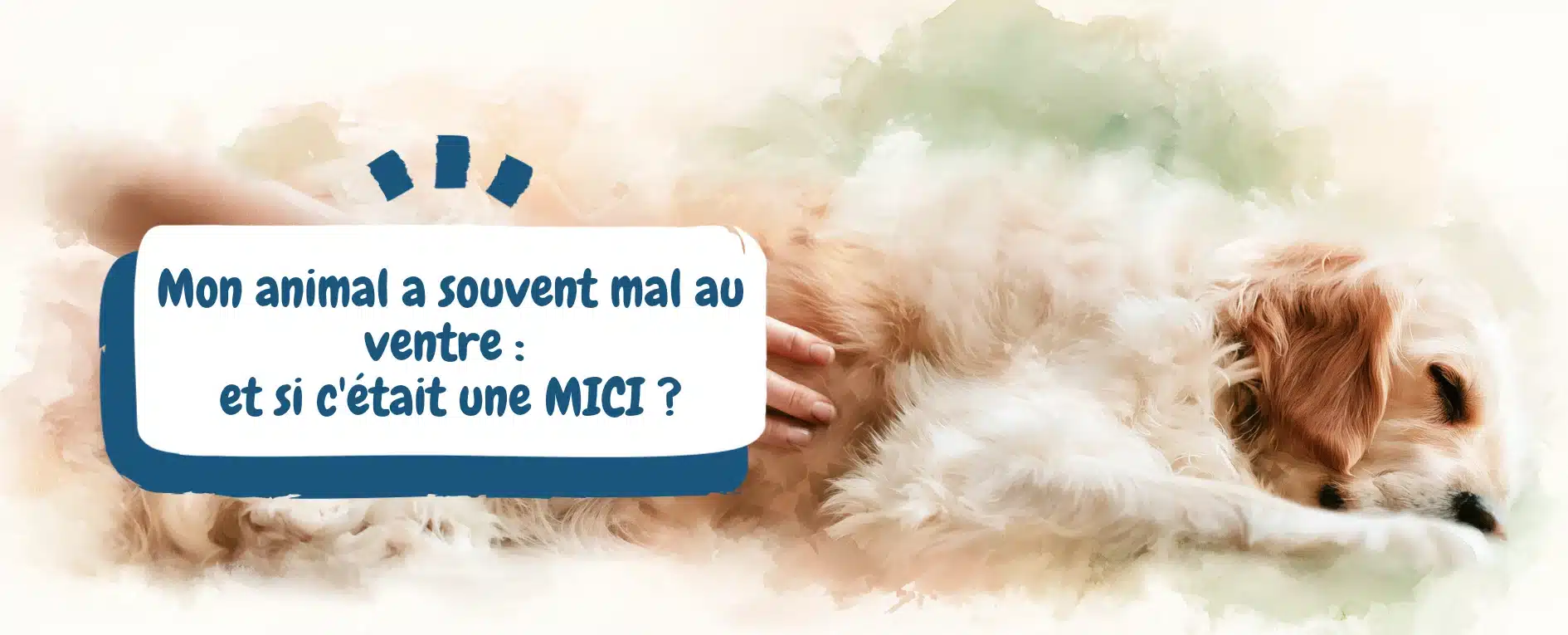 Mon animal a souvent mal au ventre et si c'était une MICI - bannière article de blog