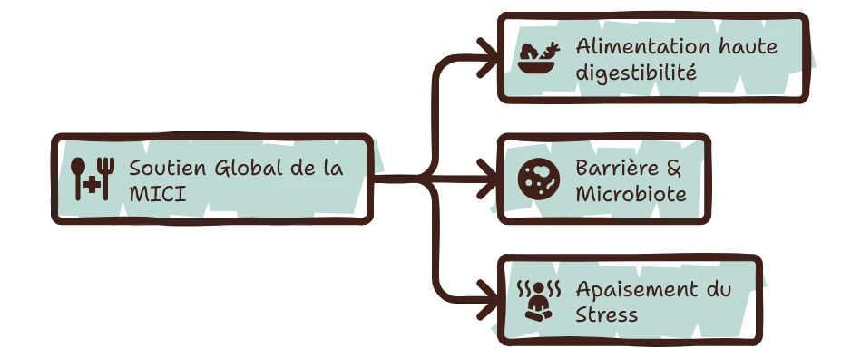 Mon animal a souvent mal au ventre et si c’était une MICI – visuel sur les soins d’une MICI Mon animal a souvent mal au ventre et si c'était une MICI - visuel sur les soins d'une MICI