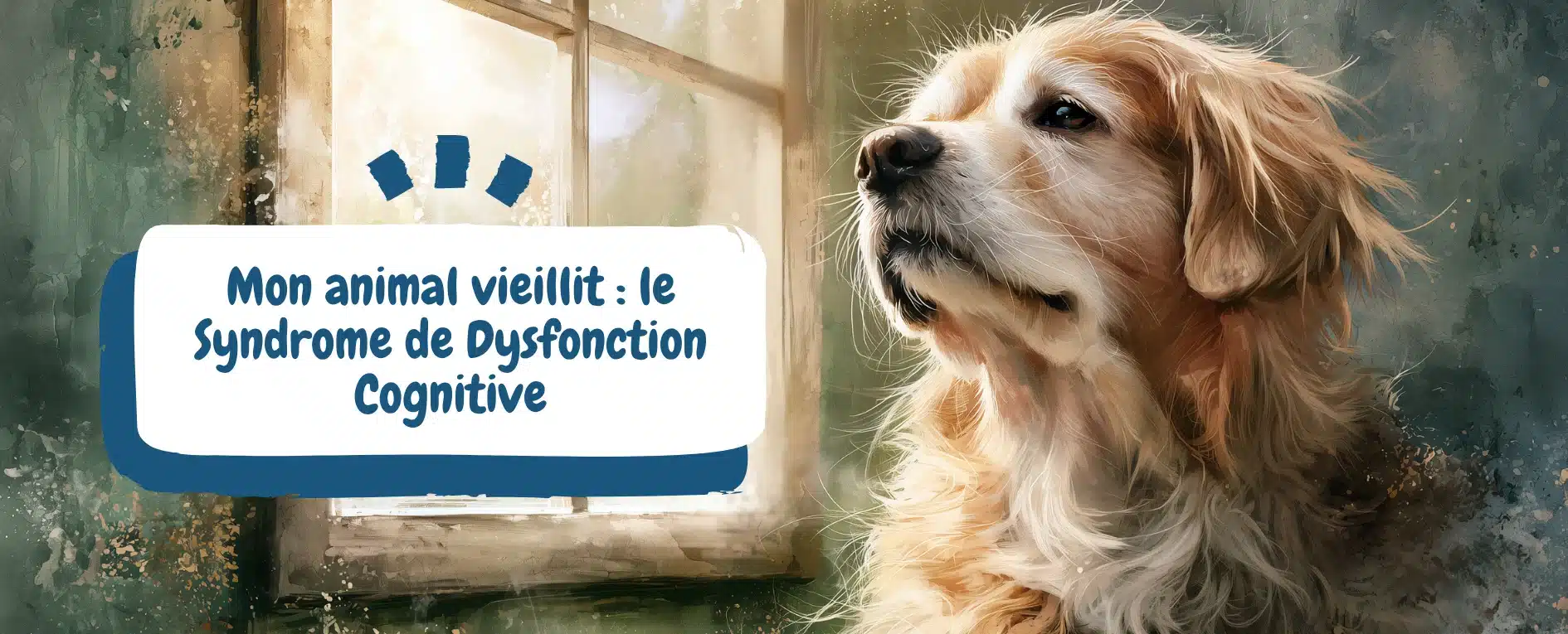 Mon animal vieillit le Syndrome de Dysfonction Cognitive - bannière article chien âgé
