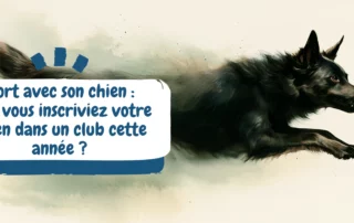 Sport avec son chien Et si vous inscriviez votre chien dans un club cette année - bannière kelpie australien noir