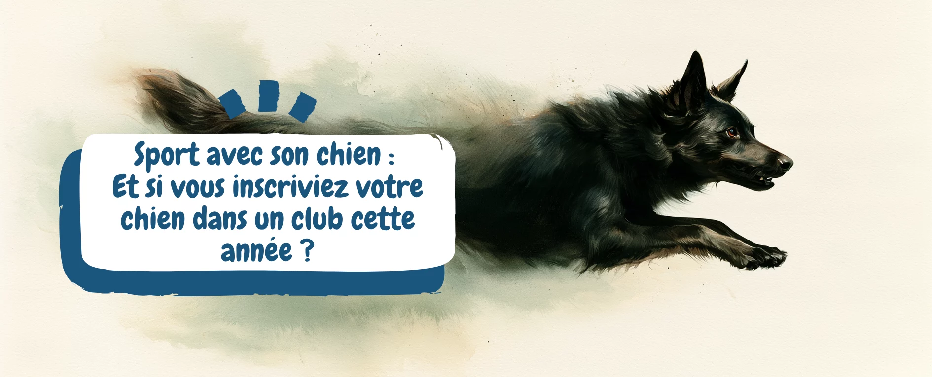 Sport avec son chien Et si vous inscriviez votre chien dans un club cette année - bannière kelpie australien noir