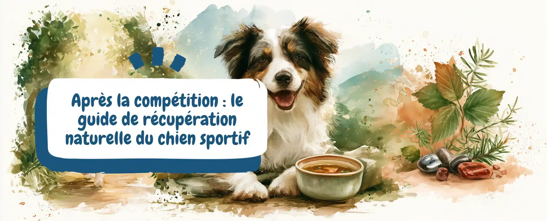 Après la compétition le guide de récupération naturelle du chien sportif - bannière article blog